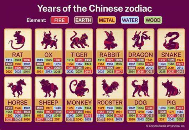 Discover the Meaning of 1991 Year of What Animal: A Complete Guide