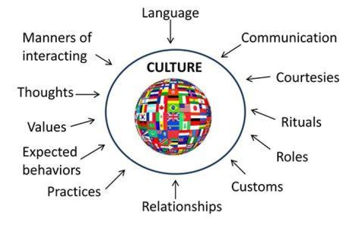 What is Stefussy? Understanding the Definition and Cultural Impact